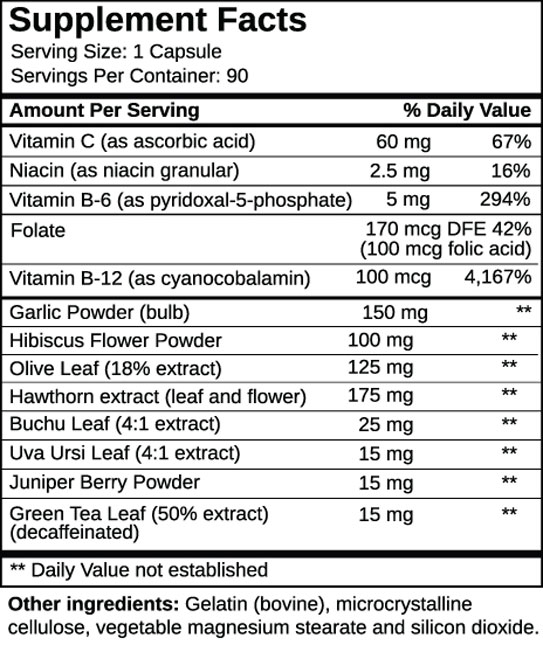 Supplements and Ingredients of Blood Pressure Support